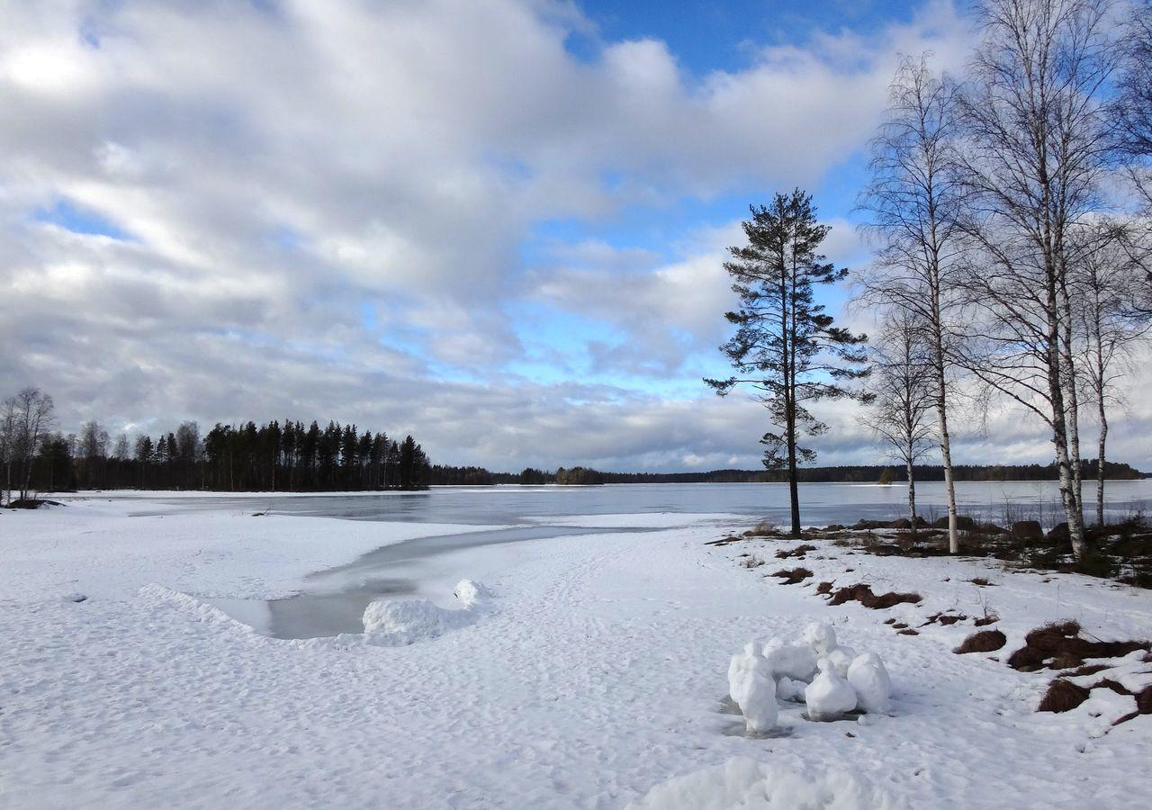 Tiiringolf Cottages Nilsiä Eksteriør billede